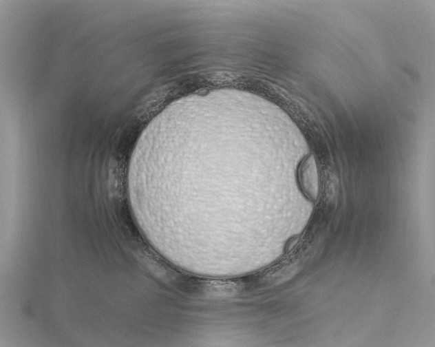 X0000115620234200912081029