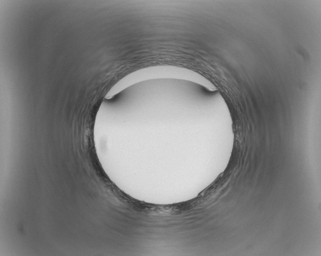 X0000115620235200912081029