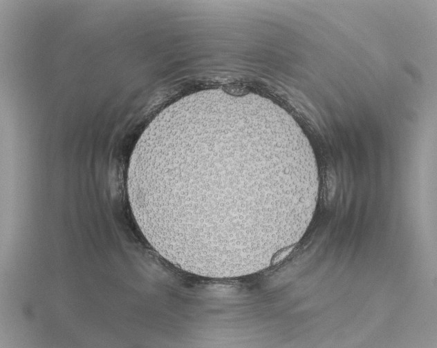 X0000115620236200912081029