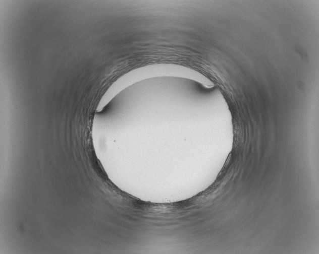 X0000115620237200912081029