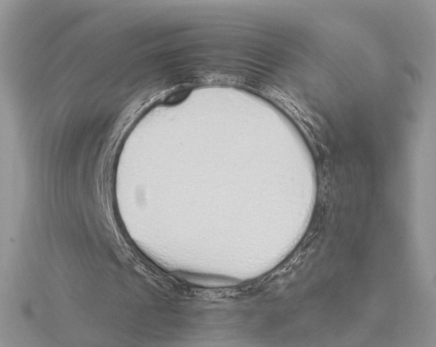 X0000115620241200912081029