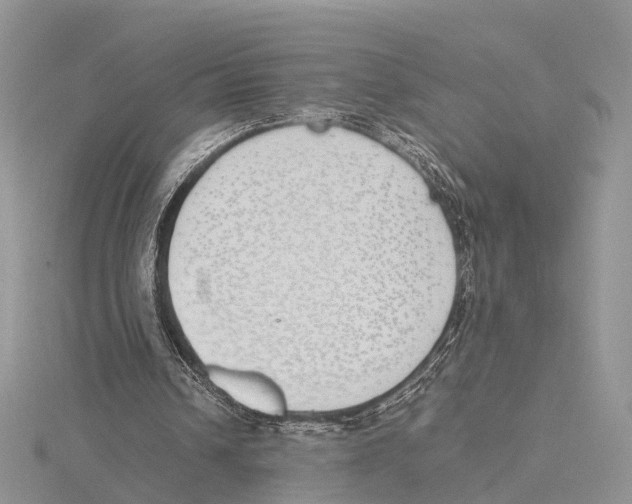 X0000115620242200912081029