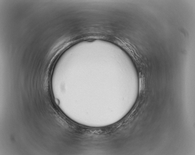 X0000115620243200912081029