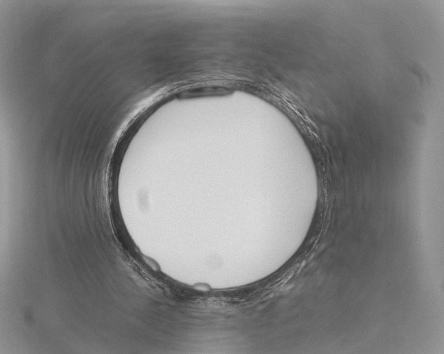 X0000115620244200912081029