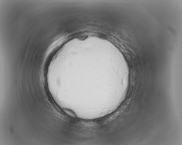 X0000115620245200912081029