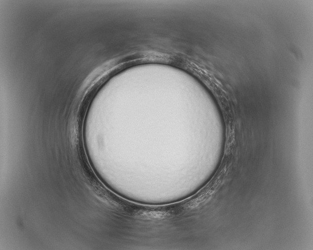 X0000115620247200912081029