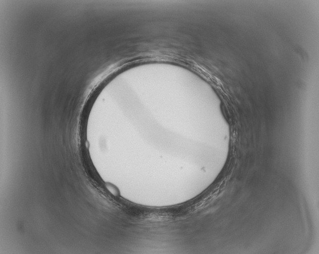 X0000115620248200912081029