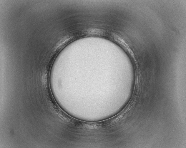 X0000115620249200912081029