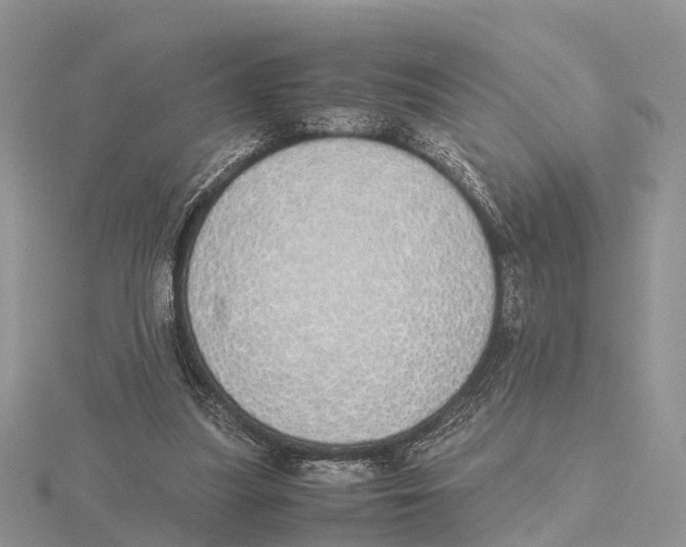 X0000115620251200912081029