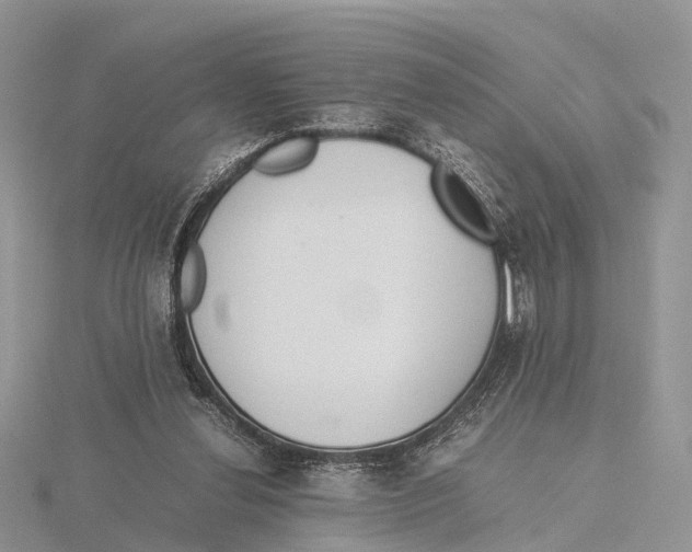 X0000115620252200912081029