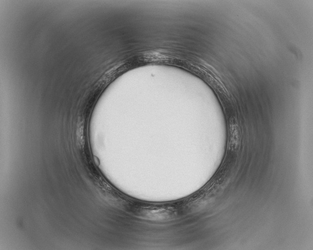 X0000115620267200912081029