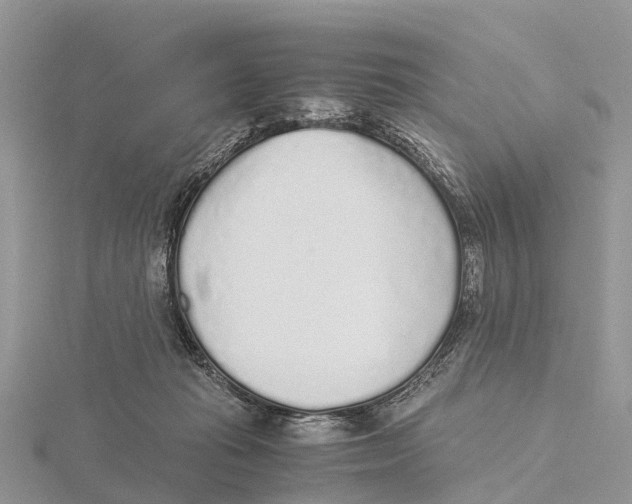 X0000115620269200912081029