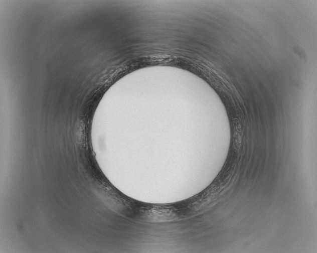 X0000115620270200912081029