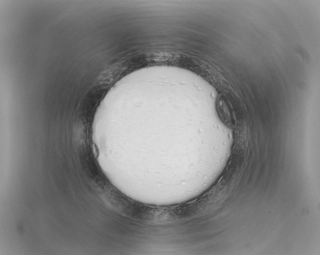 X0000115620272200912081029