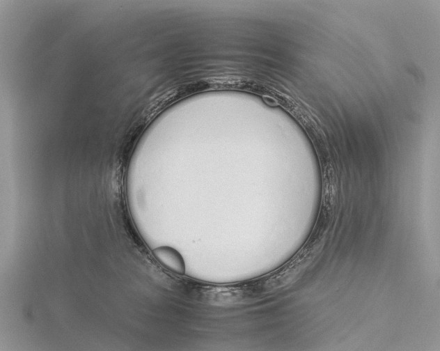 X0000115620277200912081029