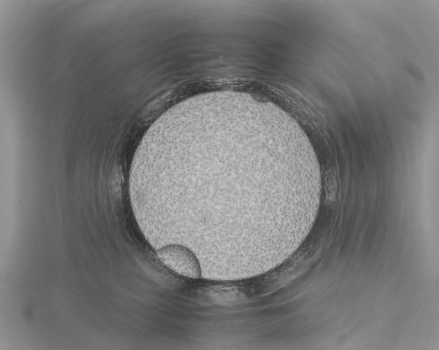 X0000115620279200912081029