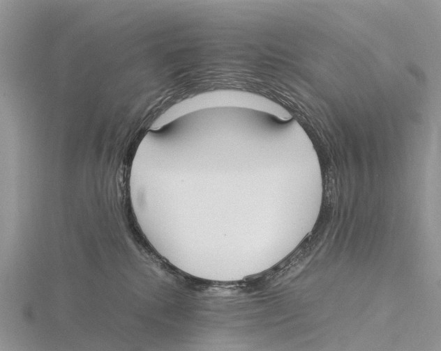 X0000115620280200912081029