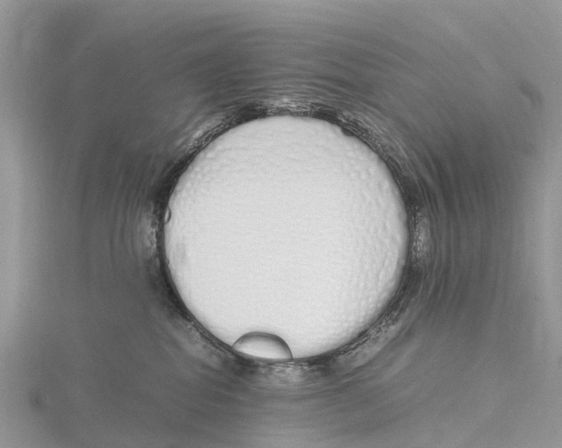 X0000115620282200912081029