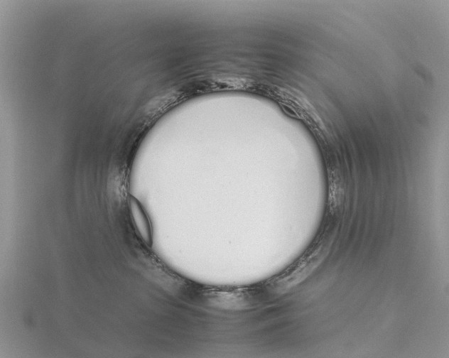 X0000115620285200912081029