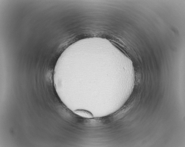 X0000115620286200912081029