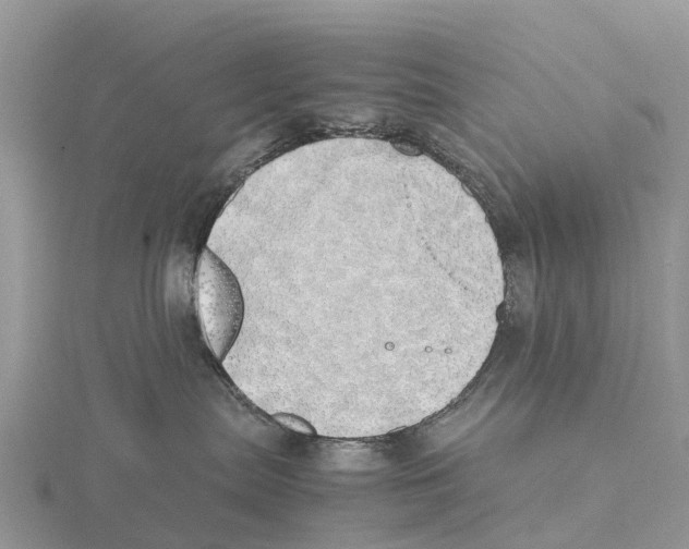 X0000115620287200912081029