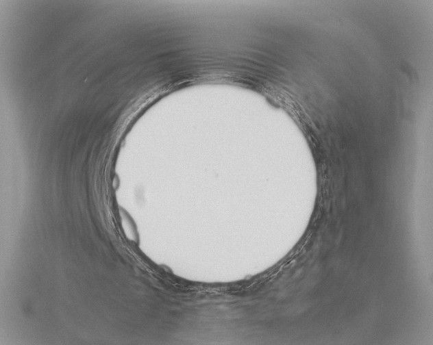 X0000115620289200912081029