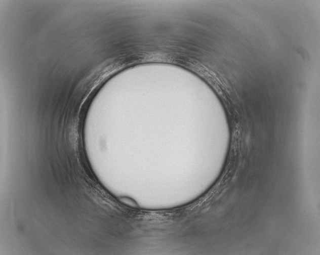 X0000115620290200912081029