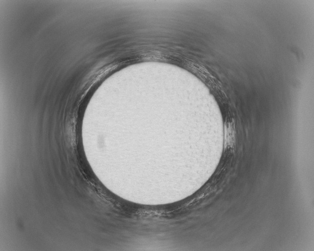 X0000115620291200912081029