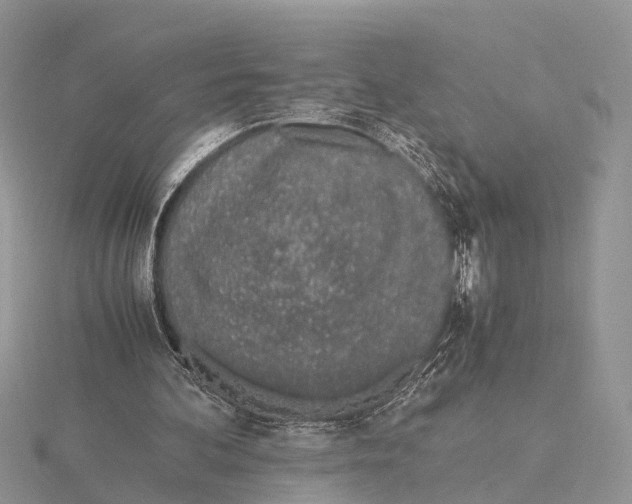 X0000115620292200912081029