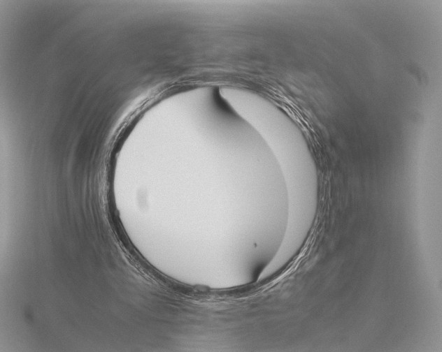 X0000115620293200912081029