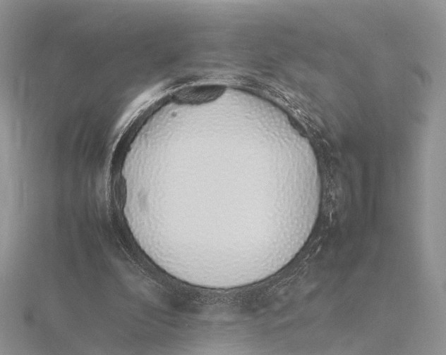X0000115620296200912081029