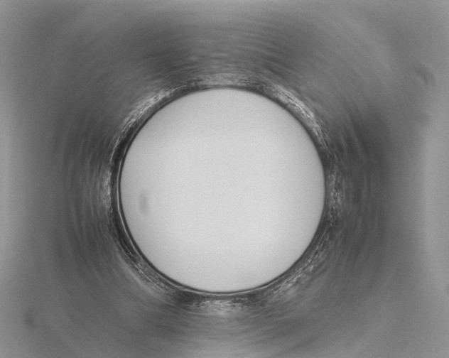 X0000115620298200912081029