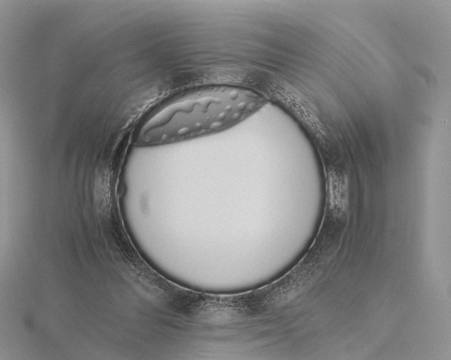 X0000115620300200912081029