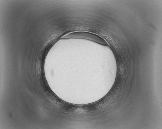 X0000115620303200912081028