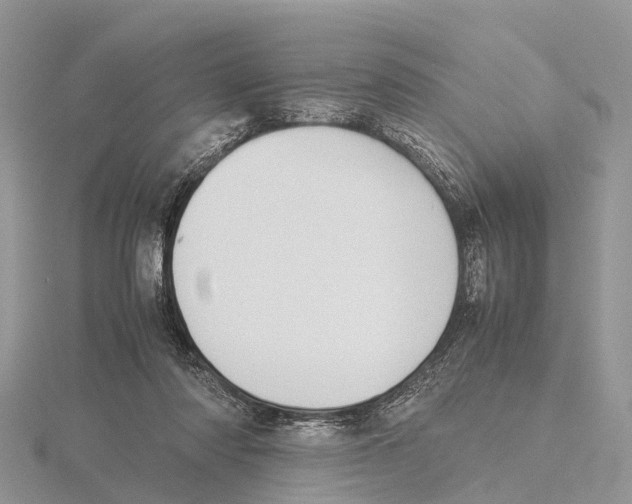 X0000115620310200912081028