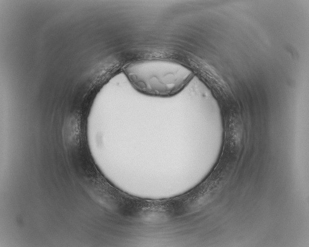 X0000115620312200912081028