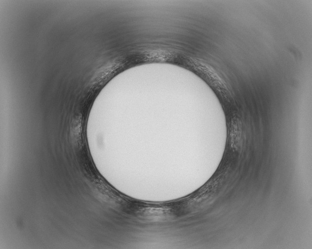 X0000115620314200912081028