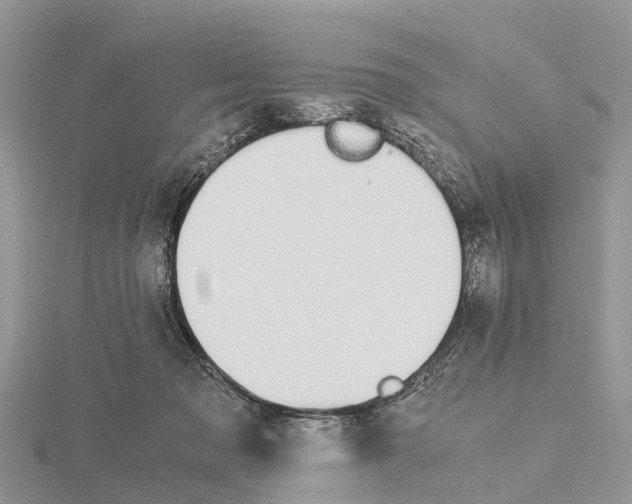 X0000115620317200912081028