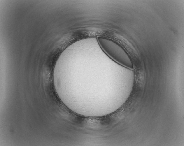 X0000115620327200912081028