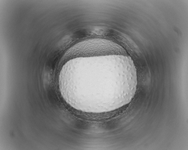 X0000115620328200912081028