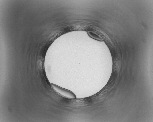 X0000115620329200912081028