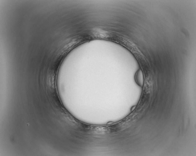 X0000115620330200912081028