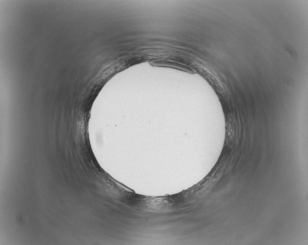 X0000115620333200912081028