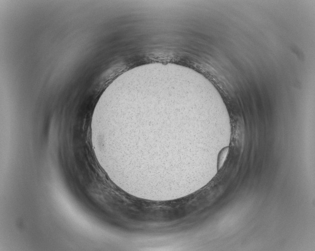 X0000115620334200912081028