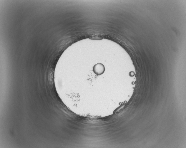 X0000115620336200912081028