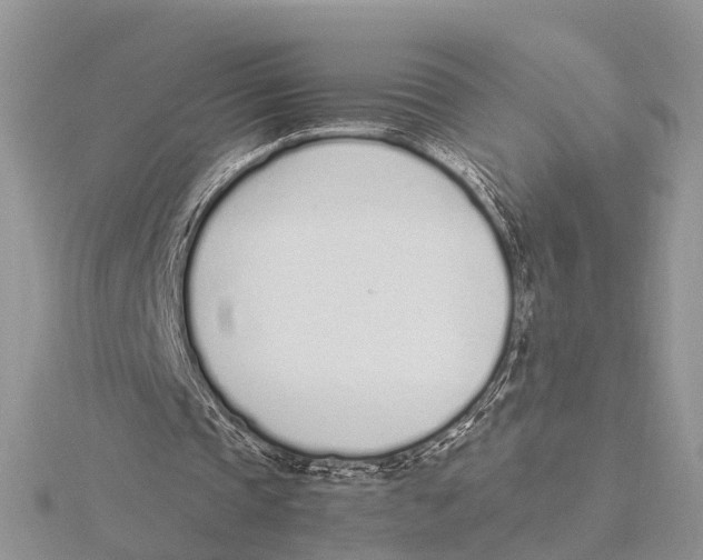 X0000115620337200912081027