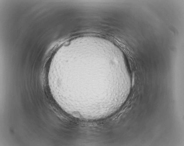 X0000115620339200912081027