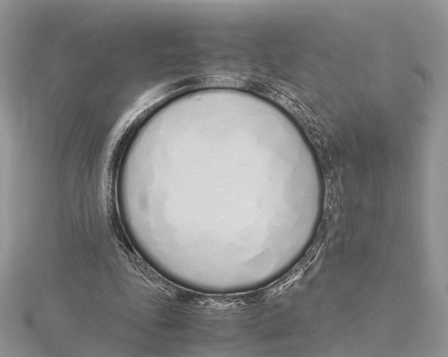 X0000115620343200912081027