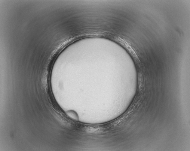 X0000115620346200912081028