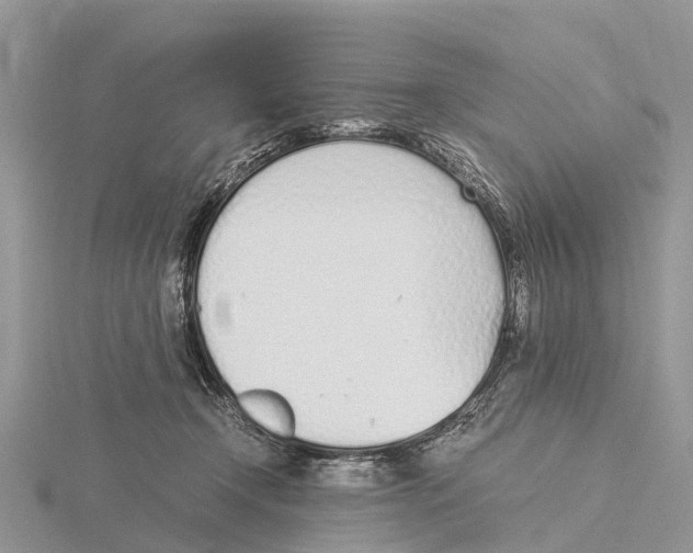 X0000115620366200912081028